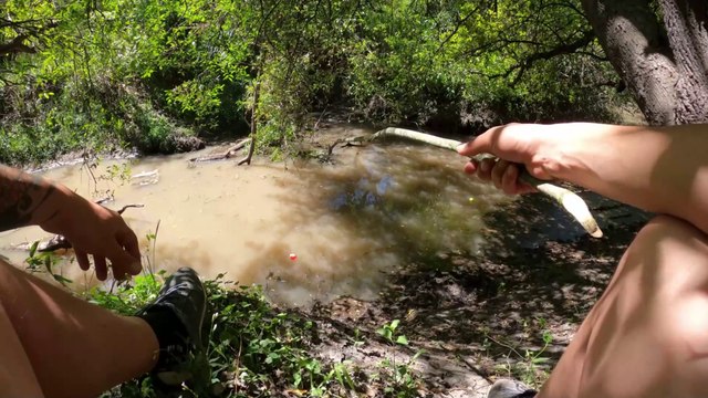 Encontramos una LAGUNA Increíble | PESCA Y COCINA | Bagres Sapo Fritos | Video de Pesca Exploración y Naturaleza