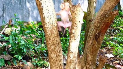 Baby Monaco giving sweet kisses to his brother Michael, Monaco right now is fully active