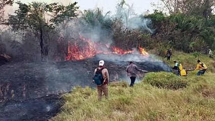 Poblados indígenas amazónicos en Bolivia afectados por incendios forestales