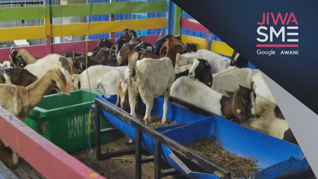 Niaga AWANI: Jiwa SME: Bermula secara suka-suka, dua sahabat kini pengusaha ladang agro