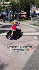 Perrita asombró a cibernautas al lucir traje típico de Moquegua