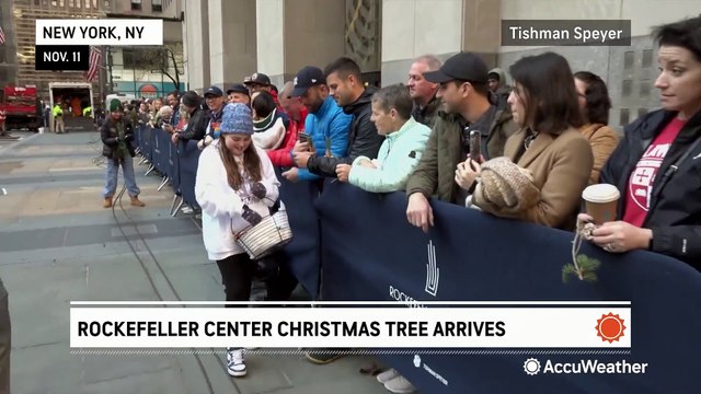 Rockefeller Center Christmas Tree arrives to fanfare in New York City