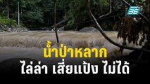 ฝนตกหนักน้ำป่าหลาก ชุดไล่ล่า เสี่ยแป้ง ออกไม่ได้ | เที่ยงทันข่าว | 14 พ.ย. 66