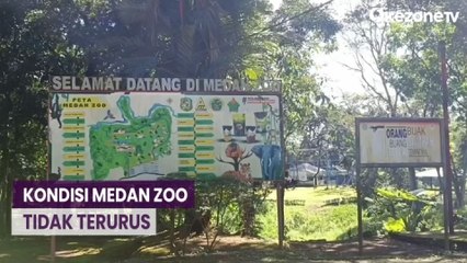 Download Video: Miris Kondisi Medan Zoo, Nasib Satwanya Memprihatinkan