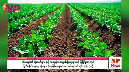 သီးနှံများ၏ မျိုးသစ်များ နှင့် အရည်အသွေးမီမျိုးစေ့များကို ဖြန့်ဖြူးရာတွင် ပြည်ပနိုင်ငံများမှ မျိုးများကို မဖြစ်မနေမှသာ ဝယ်ယူတင်သွင်းသင့်