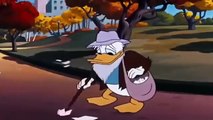 ᴴᴰ Donald Duck & Chip and Dale Cartoons - Lion, Pluto, Mickey Mouse Clubhouse, Figaro, Frankie