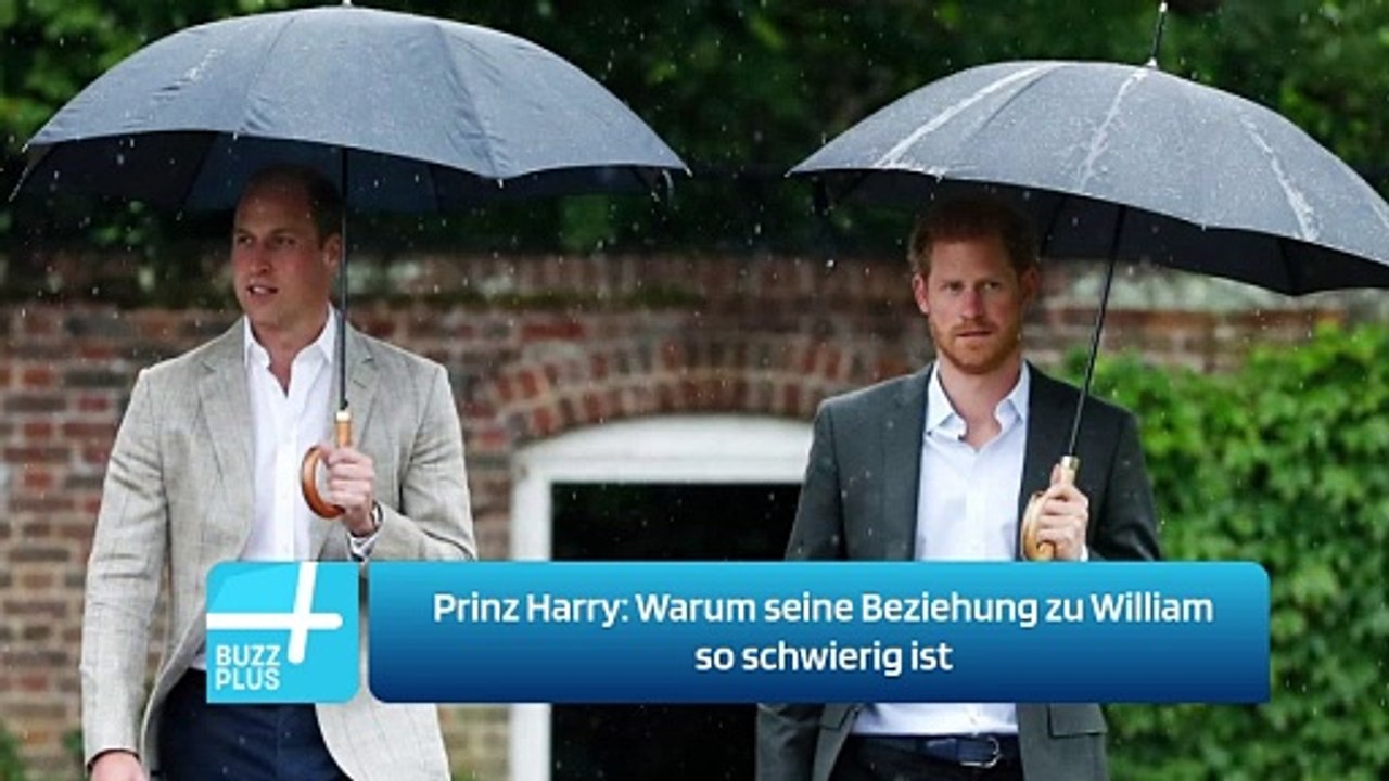 Prinz Harry: Warum seine Beziehung zu William so schwierig ist