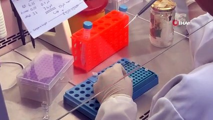 Yakın Doğu Üniversitesi, dünyanın en iyileri arasında yer aldı
