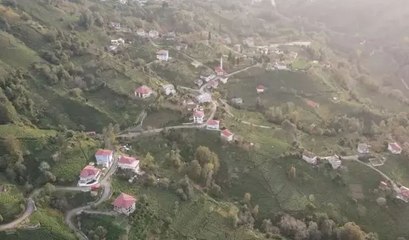 Rize'de bir köy 'doğal gaz' umuduyla mahalle olmak için referanduma gidiyor