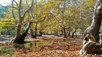 Sonbaharda Andırın yaylaları: Muhteşem dron görüntüleri