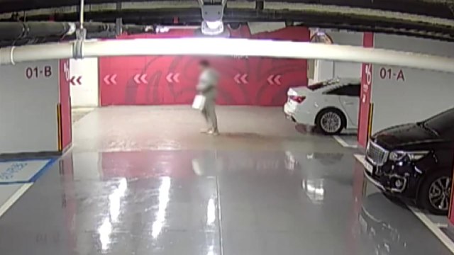 유령법인 세워 대출 사기 벌인 일당 검거... 피해자 3백여 명 / YTN