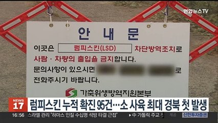 럼피스킨 누적 확진 95건…소 사육 최대 경북 첫 발생