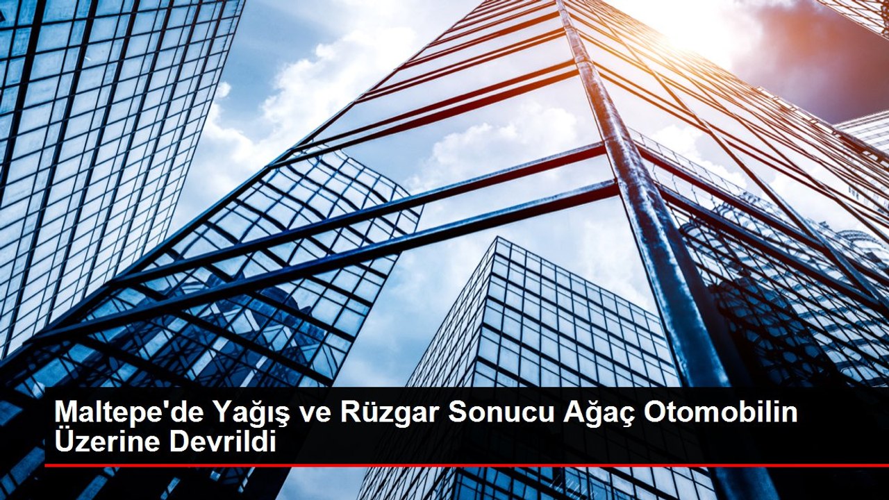 Maltepe'de Yağış ve Rüzgar Sonucu Ağaç Otomobilin Üzerine Devrildi