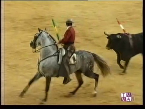 TARDE DE TOROS-SERGIO VEGAS-JOAO MAURO-LUIS Y ANTONIO DOMEQ-VALLADOLID-20.09.98.