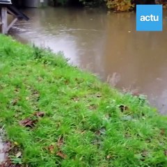 À Argentan, le niveau d'eau de l'Orne est monté d'1,20 m en un mois