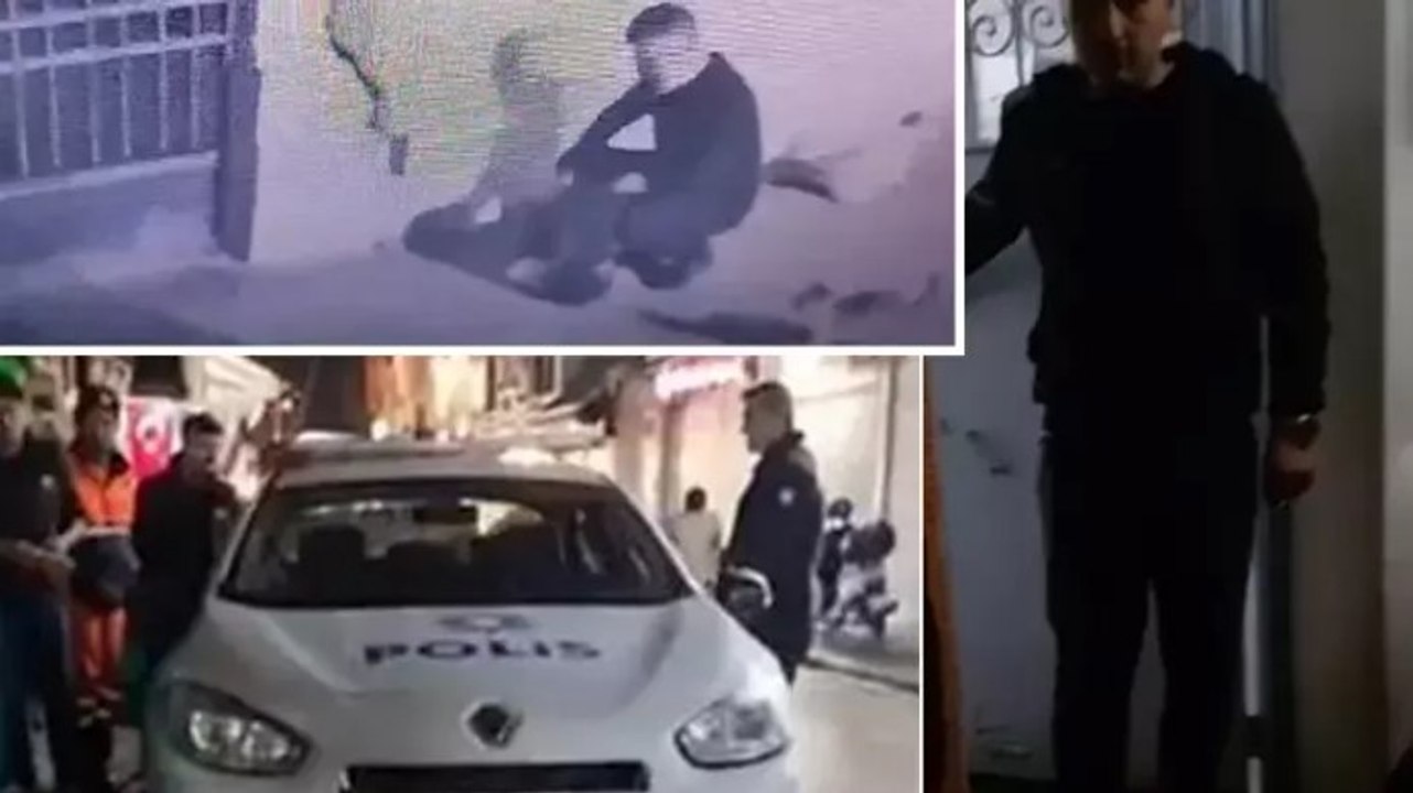 Fatih'te çantasına kedi koyarak giden şüphelinin evinde 8 ölü kedi bulundu