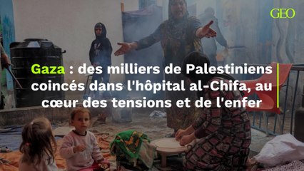 Des milliers de Palestiniens coincés dans l'hôpital al-Chifa, au cœur des tensions et de l'enfer de Gaza