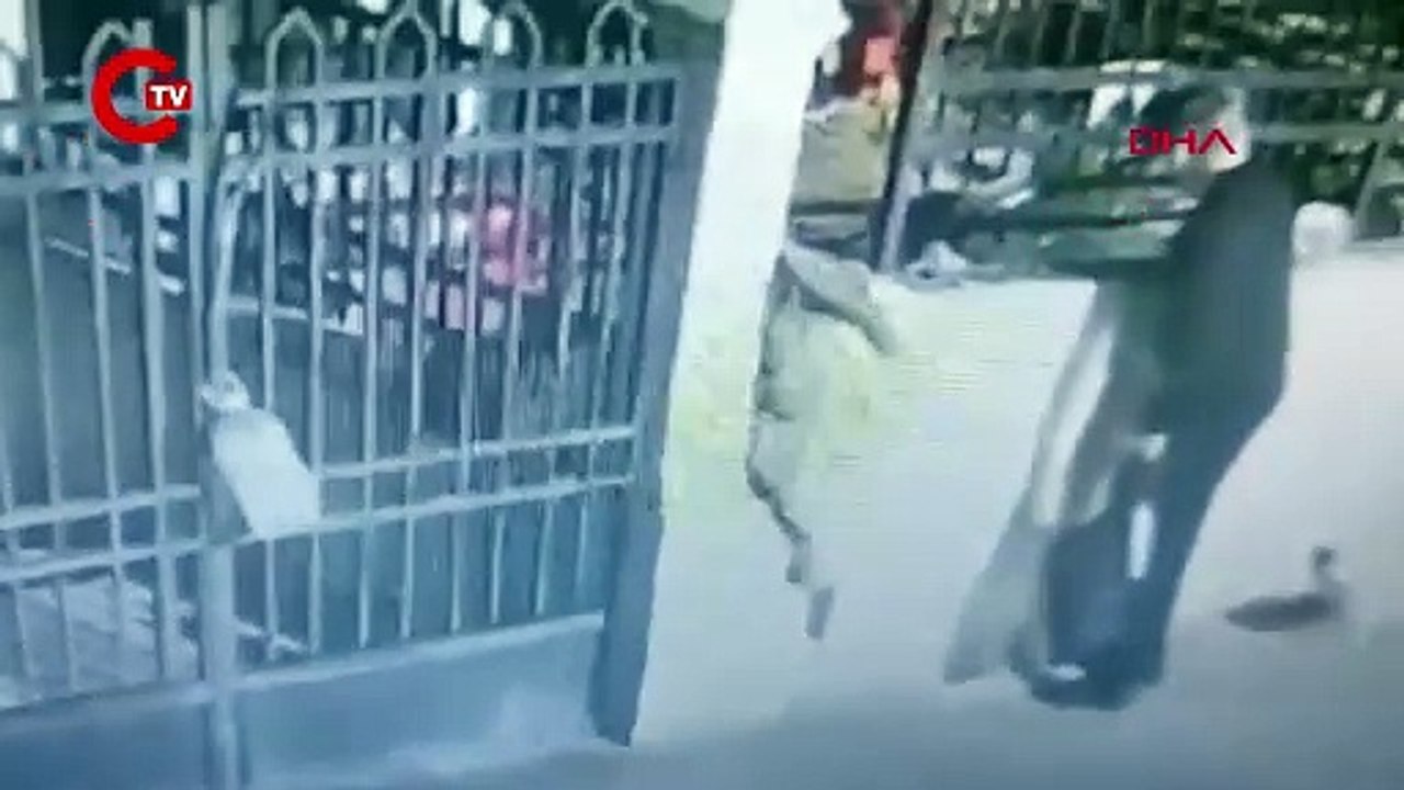 Fatih’te hayvan katliamı Evinde çok sayıda kedi ölü bulundu!