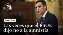 Todas las veces que el PSOE dijo que la amnistía era inconstitucional