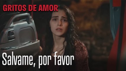 Salvame, Por Favor - Gritos De Amor Capitulo 2