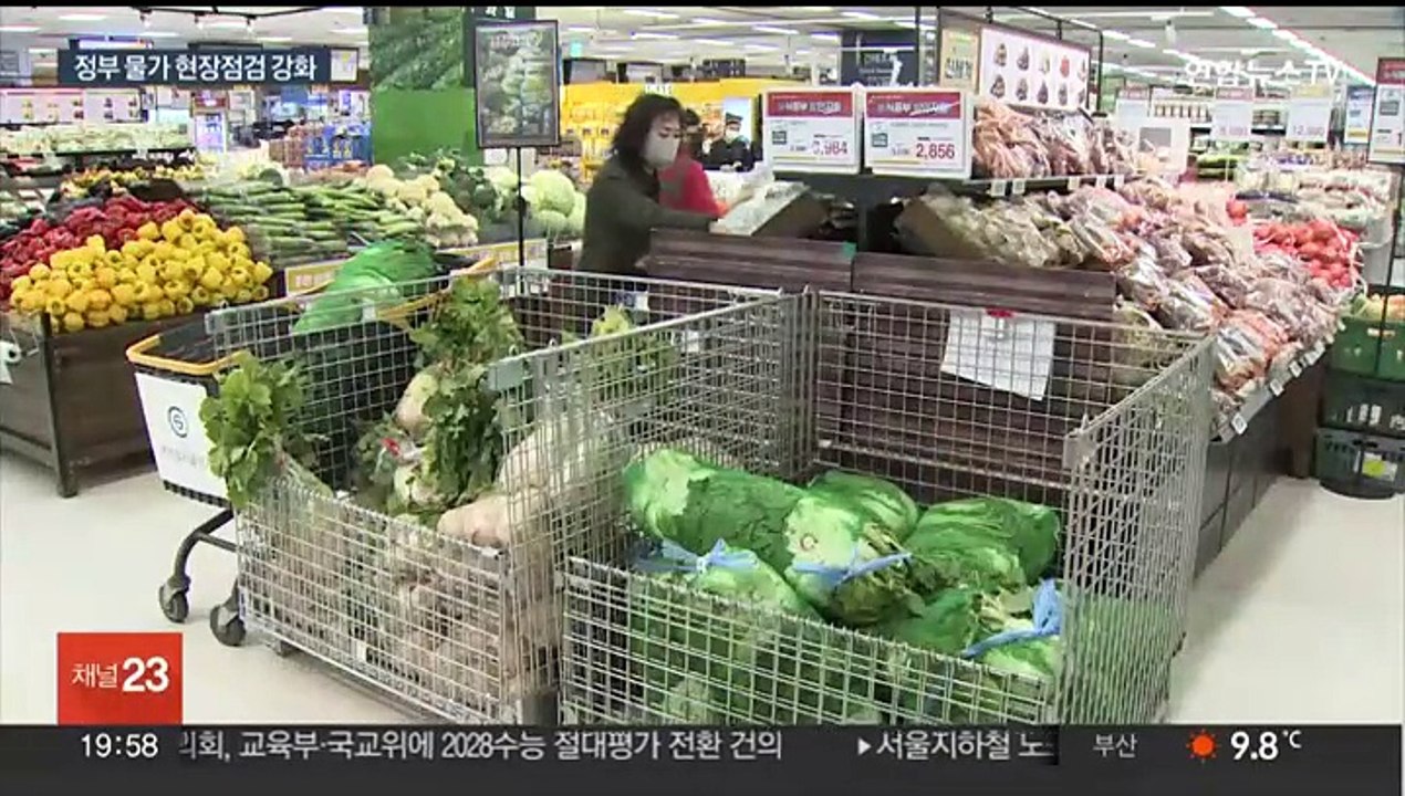 김장철 물가 비상…양 줄이는 '꼼수 인상' 차단 총력