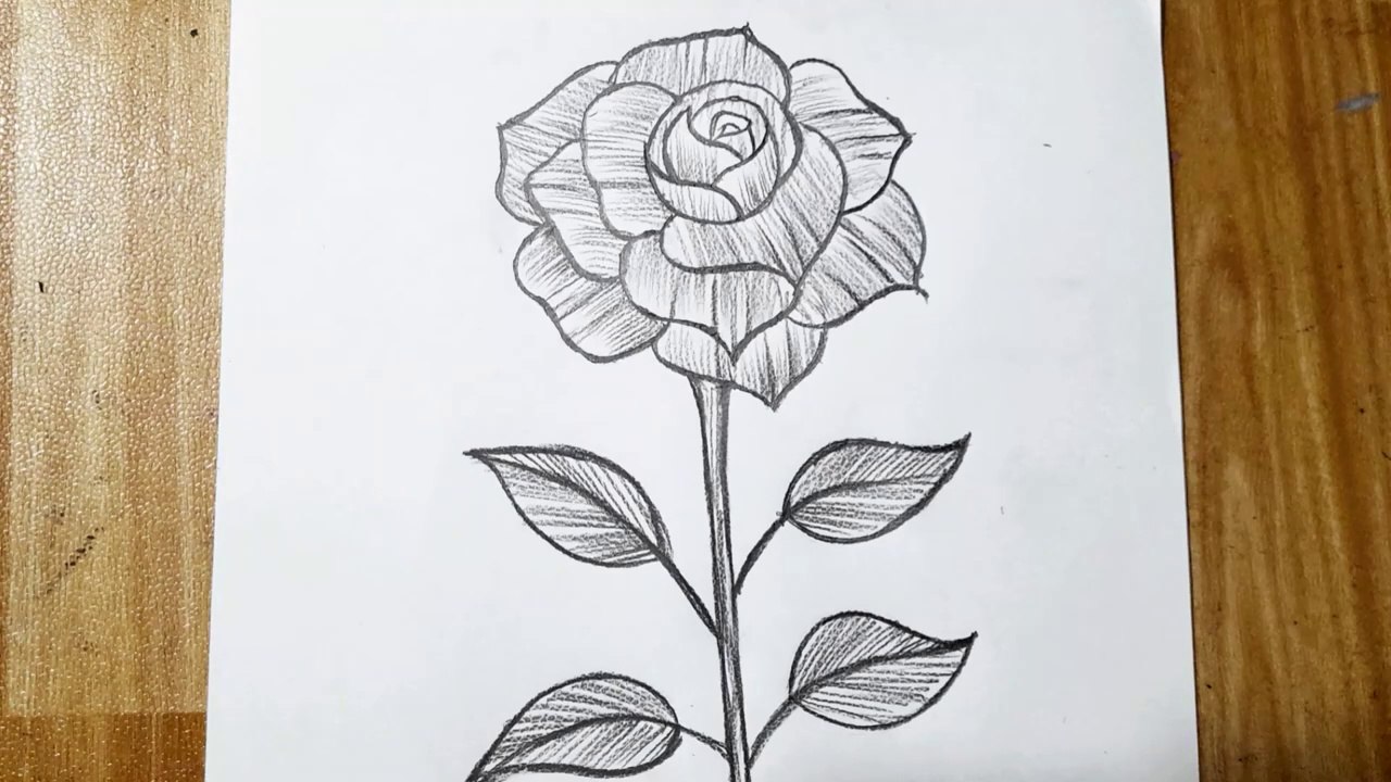 How to draw a Flower Step by Step _ Flower Draw...