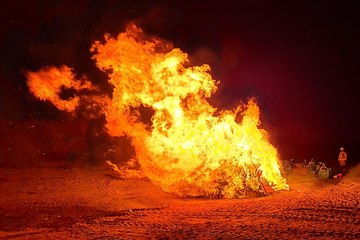 Cambrian News readers' fantastic photos