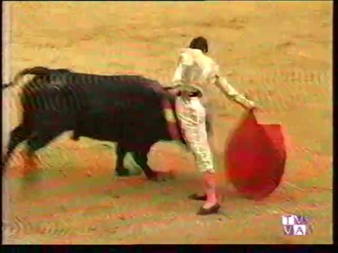 TARDE DE TOROS-ORTEGA CANO-JESULIN DE UBRIQUE-DAVID LUGUILLANO-VALLADOLID-22.09.98-3º ABONO