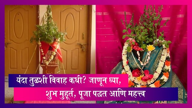 Tulsi Vivah 2023: तुळशी विवाह कधी? जाणून घ्या, शुभ मुहूर्त, पूजा पद्धत आणि महत्त्व