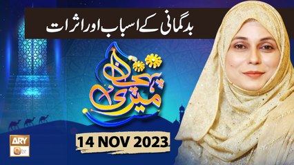 Meri Pehchan - Topic: Badgumani ke Asbab or Asrat - 14 Nov 2023 - ARY Qtv