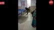 Video : हरदोई में बेहद शर्मनाक तस्वीर आई सामने, मजबूरी  का उठाया फायदा
