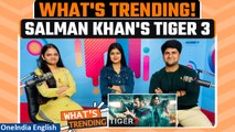 TIGER 3| What Youngsters think about the movie| Salman Khan's Time to Shine Again| OneIndia News
