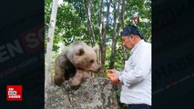 Bitlis'te ağzıyla ayıya şeker yediren vatandaş
