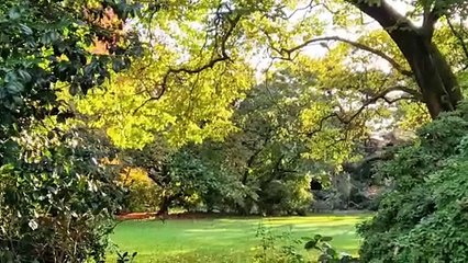 See the beautiful autumn colours at Nymans Gardens naer Haywards Heath