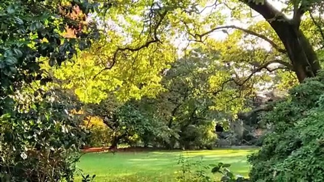 See the beautiful autumn colours at Nymans Gardens naer Haywards Heath