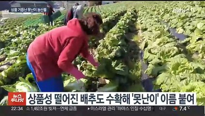 효자가 된 못난이…충북, 수확 포기한 농산물 상품화
