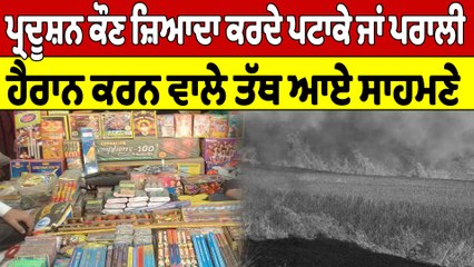 ਪ੍ਰਦੂਸ਼ਨ ਕੌਣ ਜ਼ਿਆਦਾ ਕਰਦੇ ਪਟਾਕੇ ਜਾਂ ਪਰਾਲੀ, ਹੈਰਾਨ ਕਰਨ ਵਾਲੇ ਤੱਥ ਆਏ ਸਾਹਮਣੇ |OneIndia Punjabi