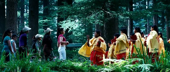 Badrinath Movie Scene HD _ Tamanna Bhatia Cricket Scene HD _ Must Watch _Allu Arjun , Tamanna Bhatia