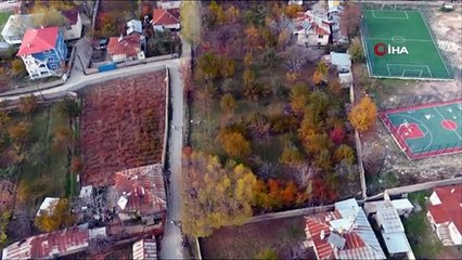 Erciş'te Sonbaharın Renkleri