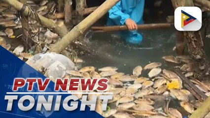 Fisherfolk in Cavite City affected by fishkill