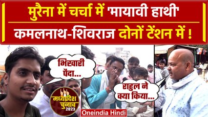 MP Election: Morena में इस बार दिलचस्प मुकाबला, कौन मारेगा बाजी  | वनइंडिया हिंदी
