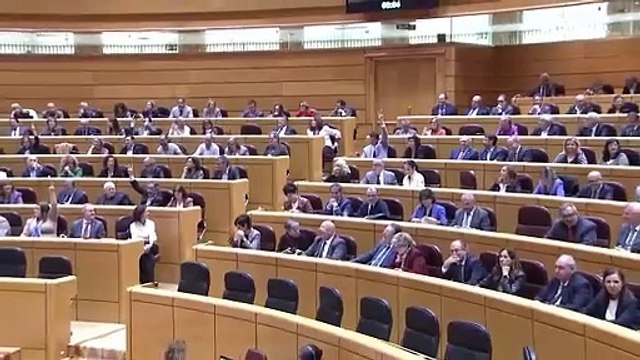 El Senado aprueba la reforma del Reglamento para dilatar la ley de amnistía