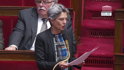Violences sexuelles et sexistes en France: "99,4% des viols ne seront jamais sanctionnés en France" assure Sandrine Rousseau (EELV)