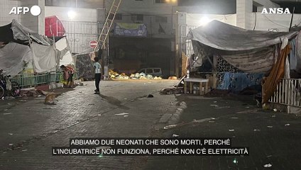 Il chirurgo di Msf all'ospedale di Al Shifa a Gaza, "nessuno ci ascolta"