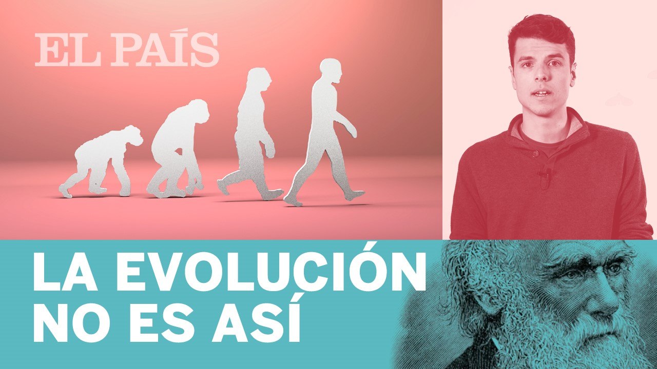 La EVOLUCIÓN NO ES ASÍ