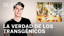 ¿Son MALOS los alimentos GENÉTICAMENTE MODIFICADOS?