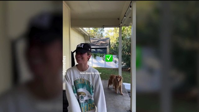 Jumelles, elles arrivent à tromper leur maris