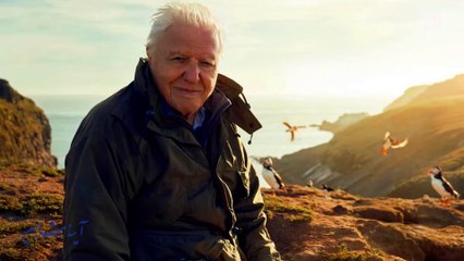 آینه مشاهیر سه شنبه 23 آبان 1402