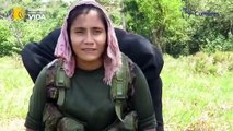 Mujeres terroristas: ¿heroínas?