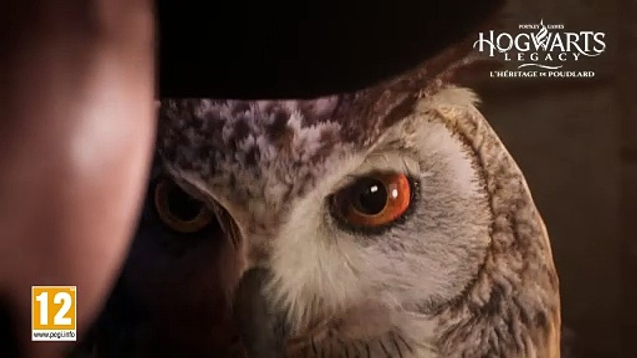 Hogwarts Legacy est disponible sur Nintendo Switch